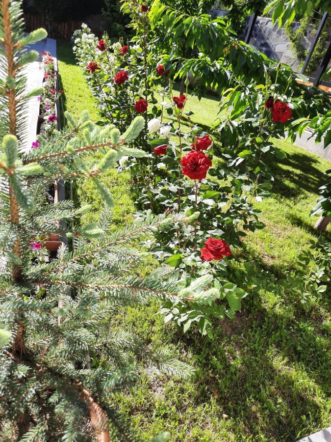 Cherry Garden Boutique Hotel Yeghegnadzor Dış mekan fotoğraf